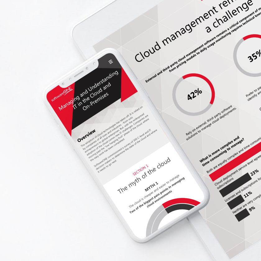 SoftwareOne Microsite